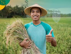 Anggaran ketahanan Pangan 2026 Tembus Rp 164,4 Triliun, Papua Dapat Subsidi Penuh