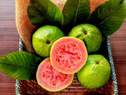 Jambu Biji Merah, Si Kecil dengan Segudang Khasiat untuk Kesehatan Tubuh