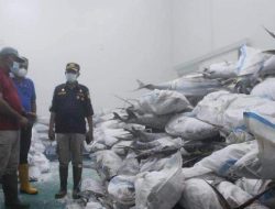 Stok Ikan Melimpah, Biak Numfor Jadi Andalan Program Makan Bergizi Gratis