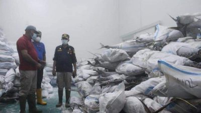 Stok Ikan Melimpah, Biak Numfor Jadi Andalan Program Makan Bergizi Gratis