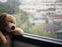 BMKG: Sebagian Besar Wilayah Papua Besok Diguyur Hujan, Waropen Berpotensi Hujan Sedang