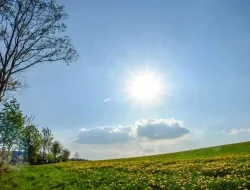 BMKG: Kota Jayapura Cerah Berawan, Kabupaten Jayapura Siap-Siap Hujan Ringan