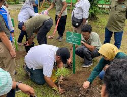 RRI Biak dan Pemkab Tanam Pohon, Hadiah Hijau di Hari Radio ke-80