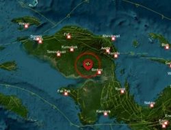 Gempa Magnitudo 3,3 Guncang Biak Numfor, Warga Kaget tapi Tak Panik