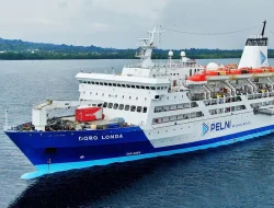 Jadwal Kapal Pelni Jayapura–Biak Oktober 2025, KM Dobonsolo Siap Berlayar!
