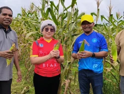 Ketua GOW Biak Ajak Ibu Jaga Ketahanan Pangan