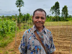 Wabup Biak Hadiri Panen Hasil Pertanian, Warga Antusias