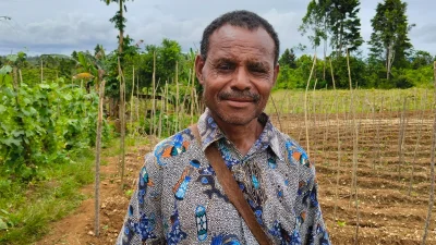 Wabup Biak Hadiri Panen Hasil Pertanian, Warga Antusias