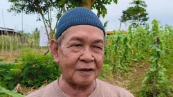 Pemda Biak Numfor Gelar Panen Bersama Hasil Pertanian