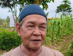 Pemda Biak Numfor Gelar Panen Bersama Hasil Pertanian